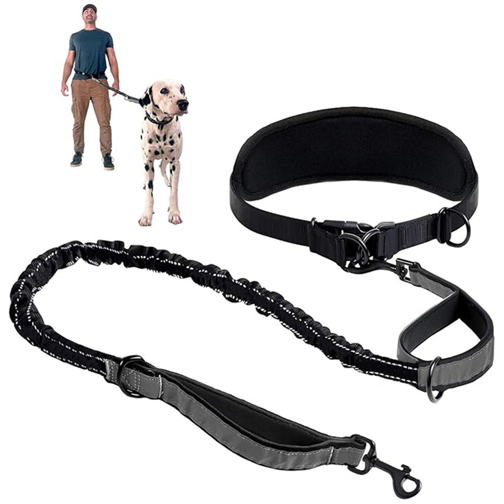 Retractable Dog Leash - 핸즈프리 강아지 목줄 허리 목줄 요추