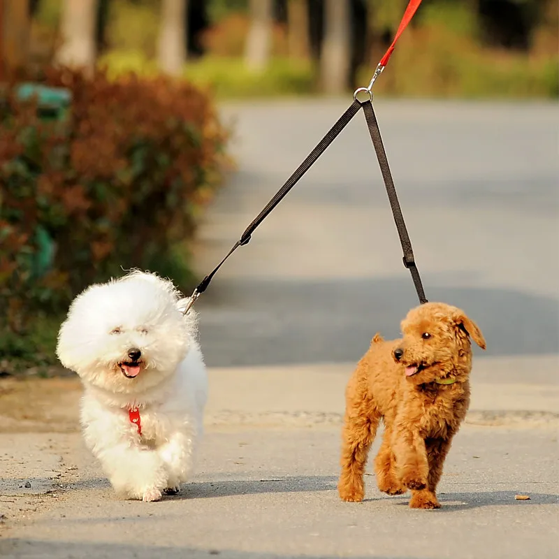 야외 산책 두 개 가죽 끈 커플러 더블 트윈 리드 산책 - Retractable Dog Leash 리뷰 및 가격