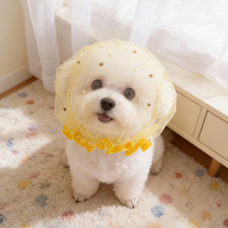 안티 바크 여름 개 모자 야외 탄성 투명 스팽글 별 애 - Pet Supplies York 리뷰 및 가격