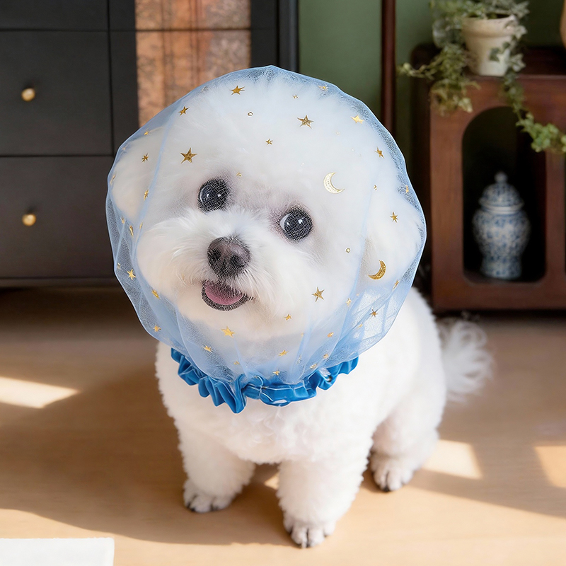안티 바크 여름 개 모자 야외 탄성 투명 스팽글 별 애 - Pet Supplies York 리뷰 및 가격