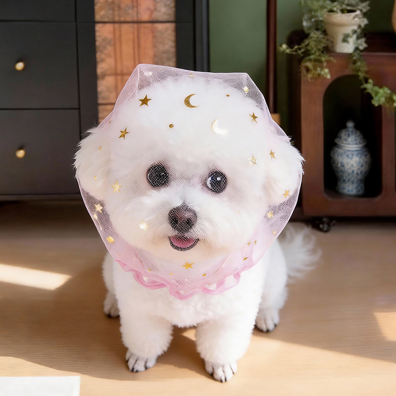 안티 바크 여름 개 모자 야외 탄성 투명 스팽글 별 애 - Pet Supplies York 리뷰 및 가격