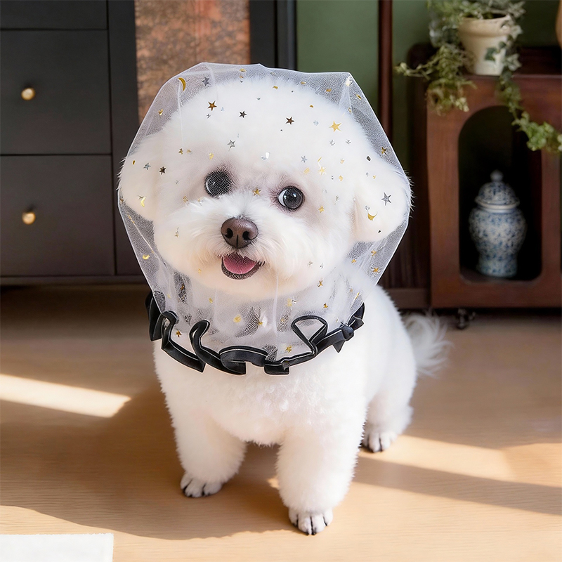 안티 바크 여름 개 모자 야외 탄성 투명 스팽글 별 애 - Pet Supplies York 리뷰 및 가격