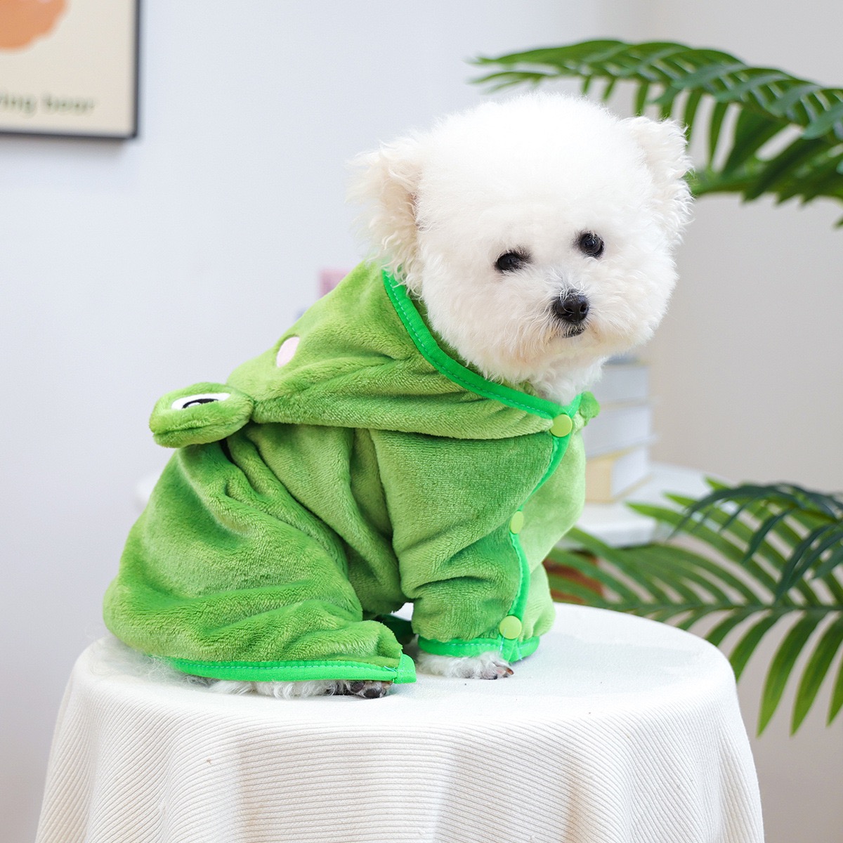 개구리 모양 원피스 강아지 망토 후드티 실내 통기성 타 - Pet Supplies York 리뷰 및 가격