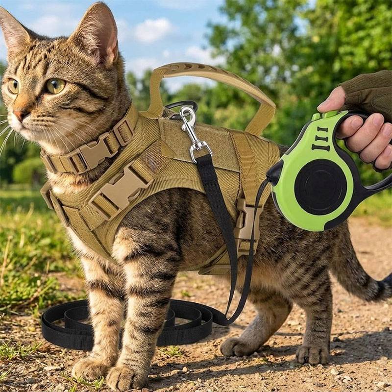 통기성 전술 애완동물 하네스 조끼, 개폐식 리드줄, 조 - Retractable Dog Leash 리뷰 및 가격