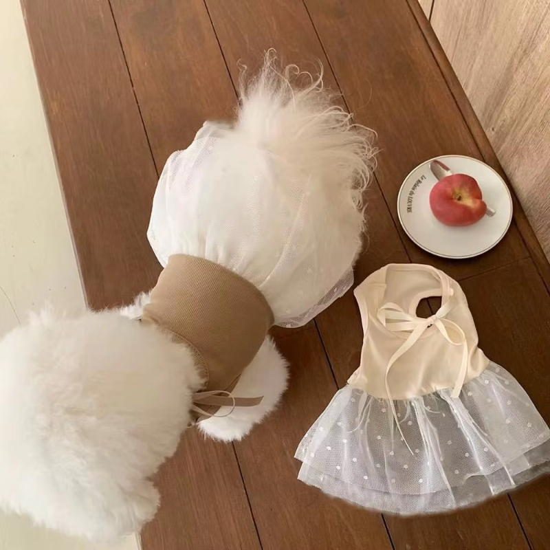 여름 개 옷 통기성 애완견 스커트 작은 개 고양이 치와 - Pet Supplies York 리뷰 및 가격