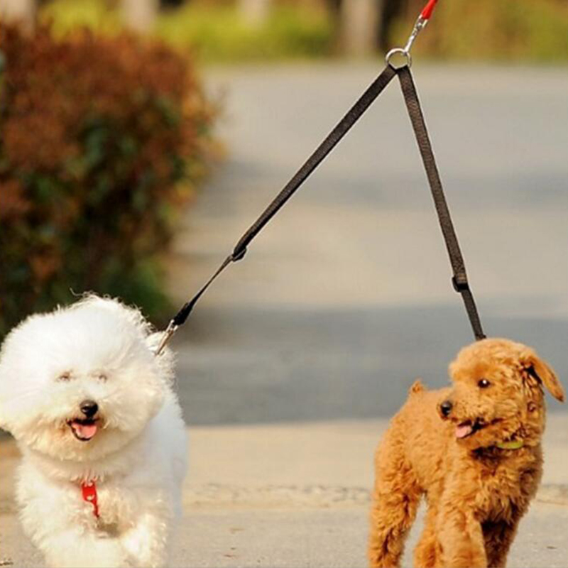 더블 트윈 듀얼 커플러 개 가죽 끈, 강력한 나일론 V - Retractable Dog Leash 리뷰 및 가격