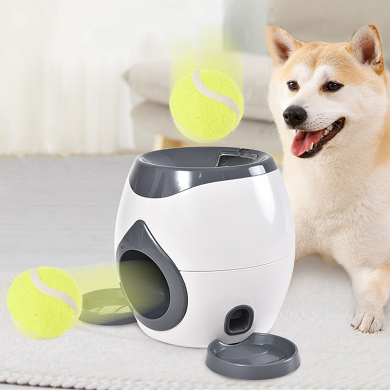 2 in 1 강아지 애완동물 인터랙티브 장난감 테니스  - Pet Supplies Rewards 리뷰 및 가격