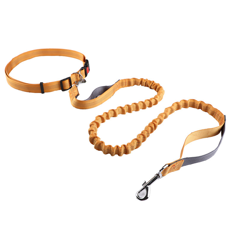 반려동물 목줄, 러닝 리드, 자동 줄줄이 개목줄, 강아 - Retractable Dog Leash 리뷰 및 가격