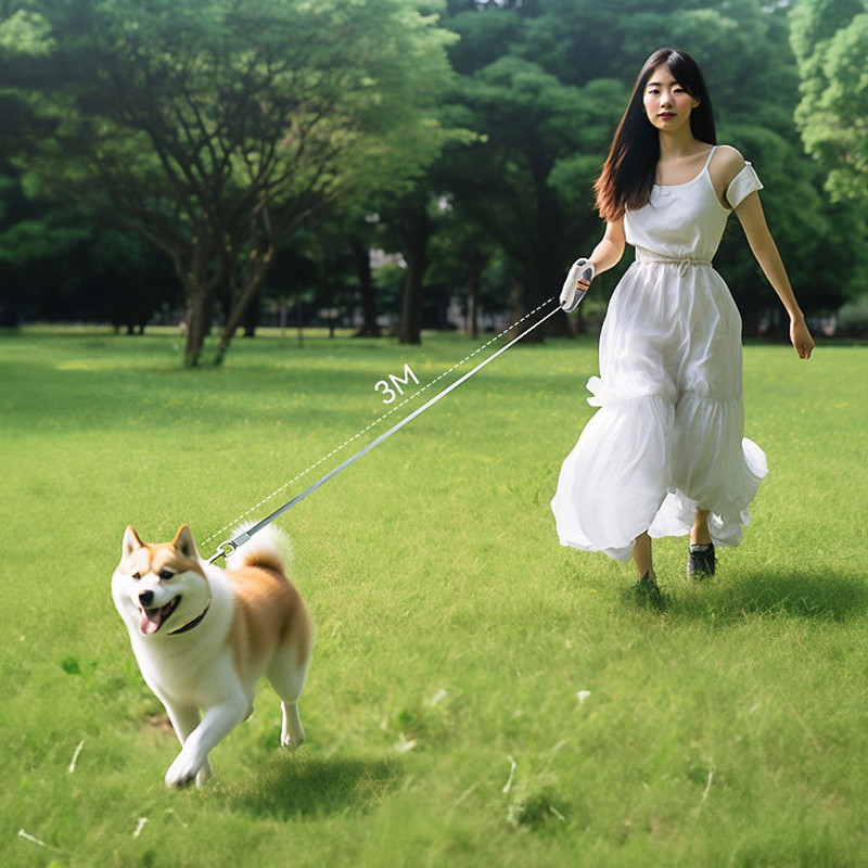 LED 애완동물 접이식 리드줄 웨어러블 터치 디밍 소형 - Retractable Dog Leash 리뷰 및 가격