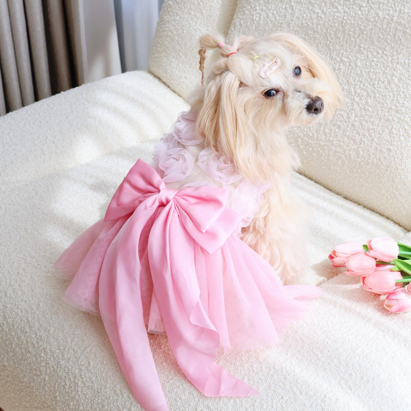 봄 여름 얇은 강아지 공주 스커트 강아지 옷 핑크 귀여 - Pet Supplies York 리뷰 및 가격